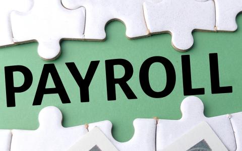 Payroll Outsourcing Company Saved 49% in Costs